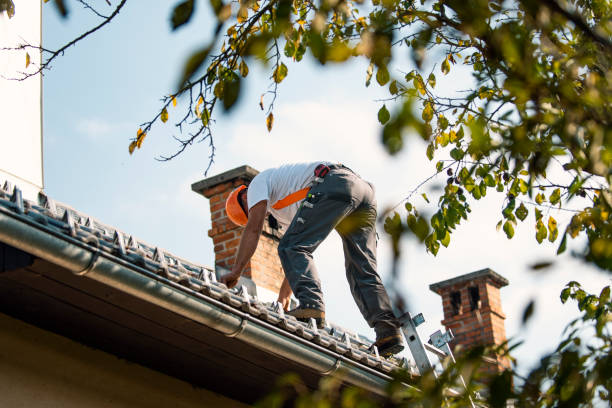 Best Roof Leak Repair  in Brownfields, LA